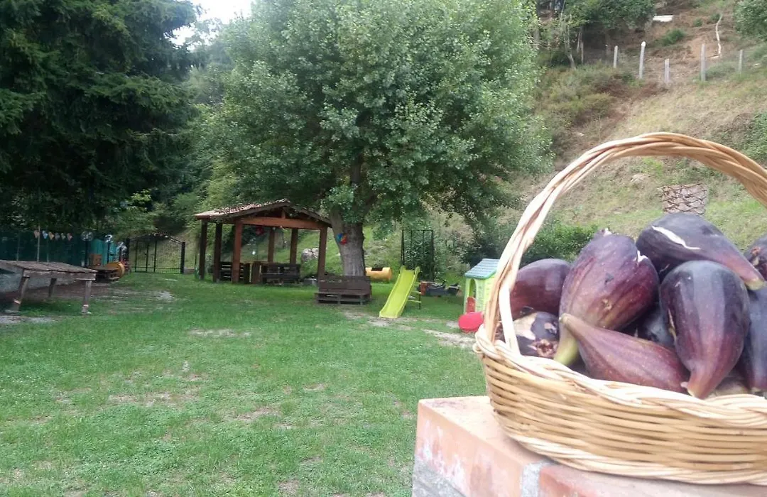 Chalet Reventino-1