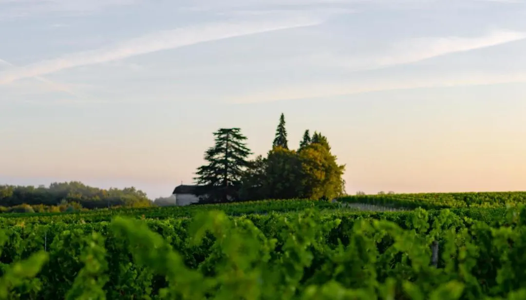 Vandenbeld Wines B&B-1