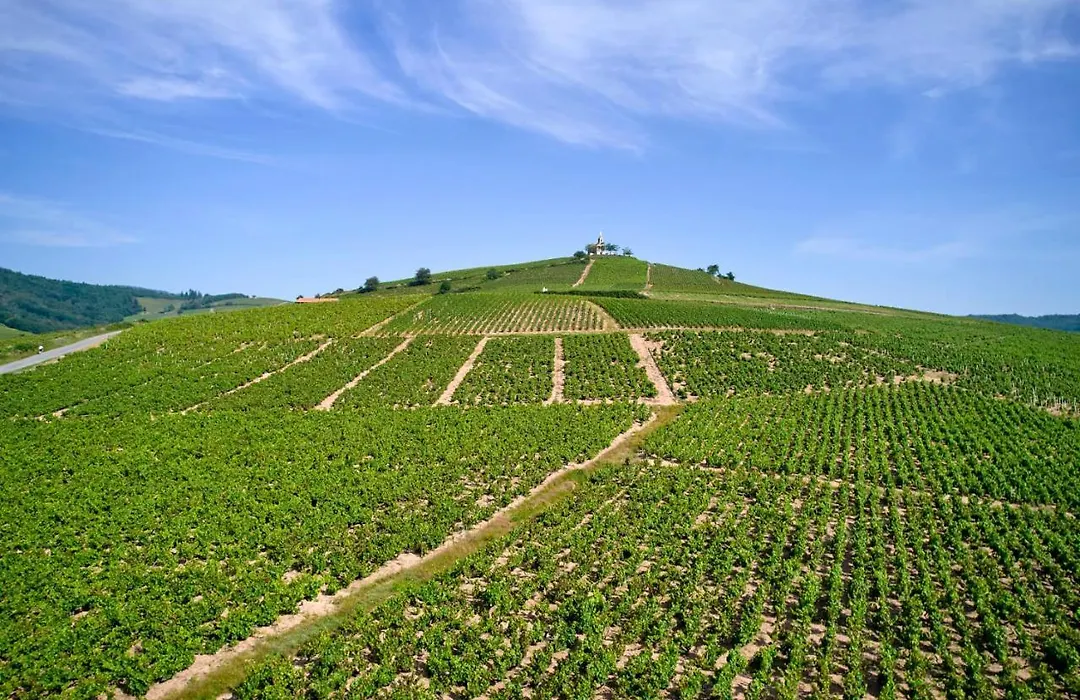 Les Glycines - Domaine Gilles Coperet-1