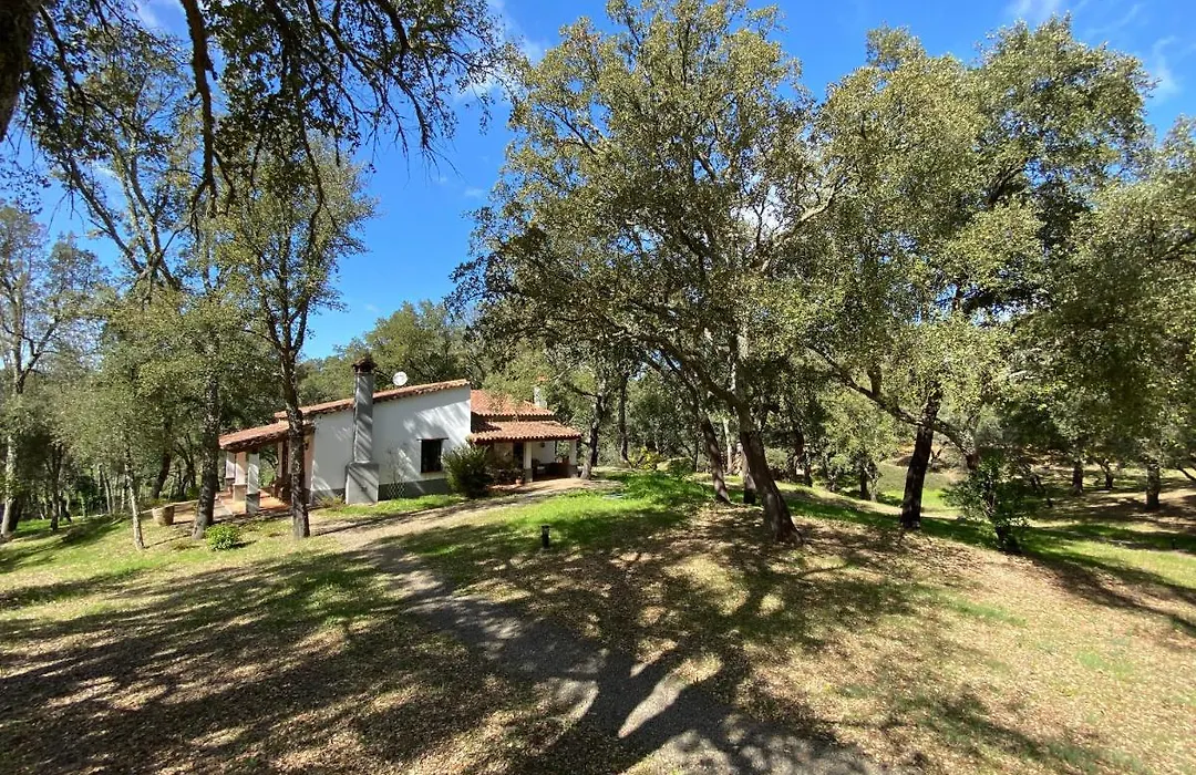 Valle del Arroyo Casas Rurales - B&B - Solo adultos-1