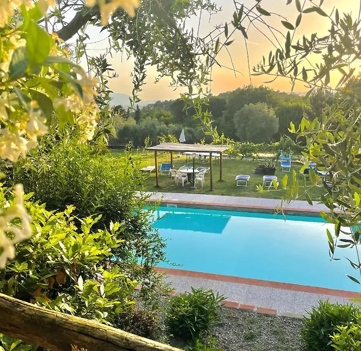 B&B Alloro-1