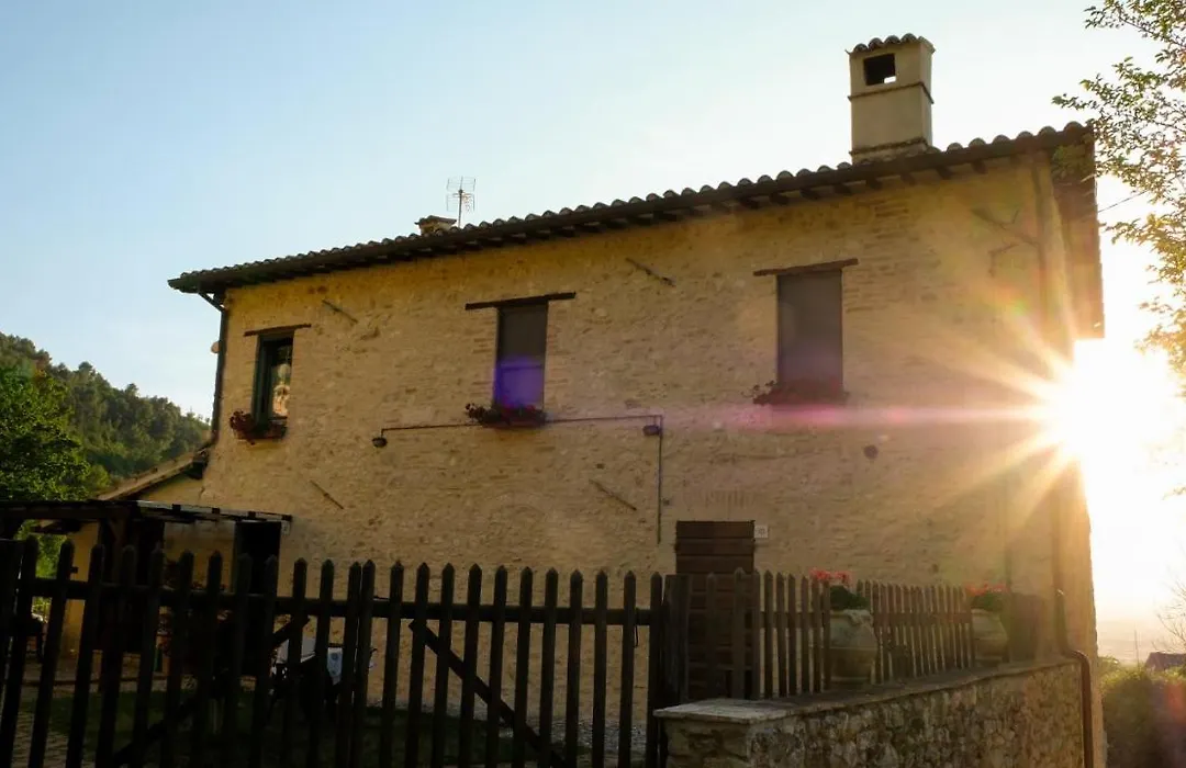 La Tana Del Riccio-1