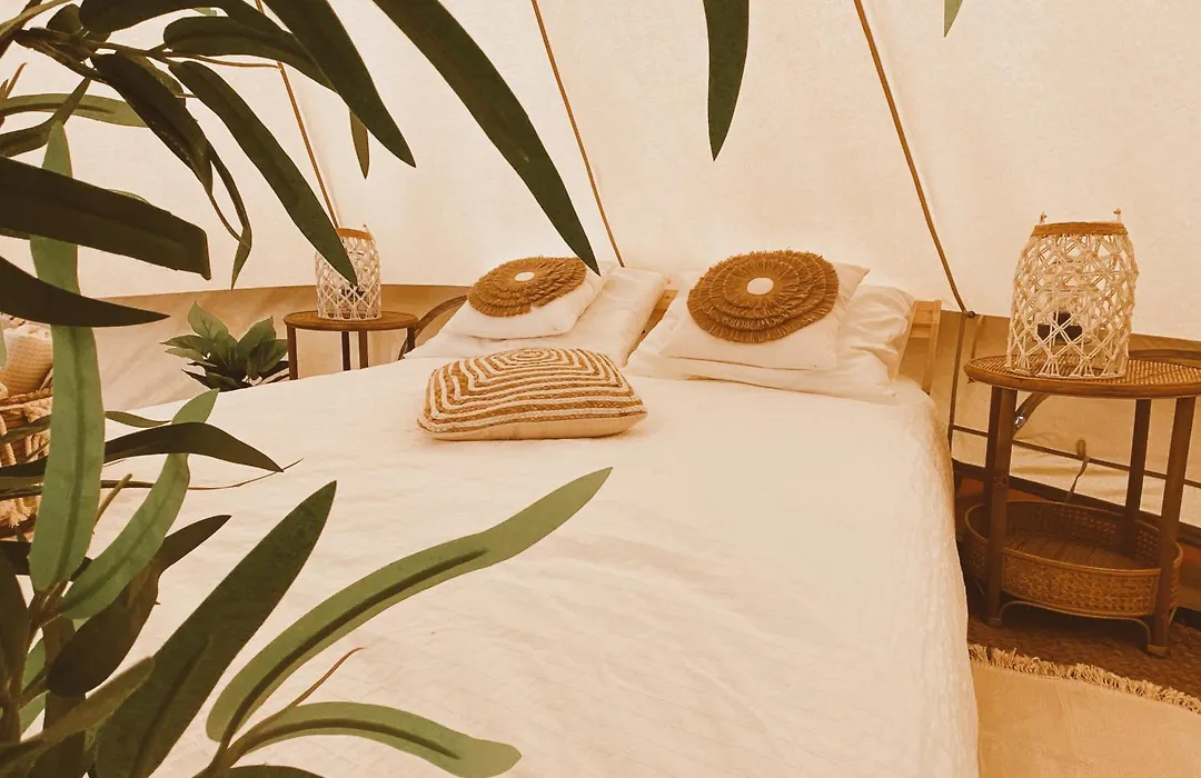 Het Caravannetje B&B - retro glamping-1