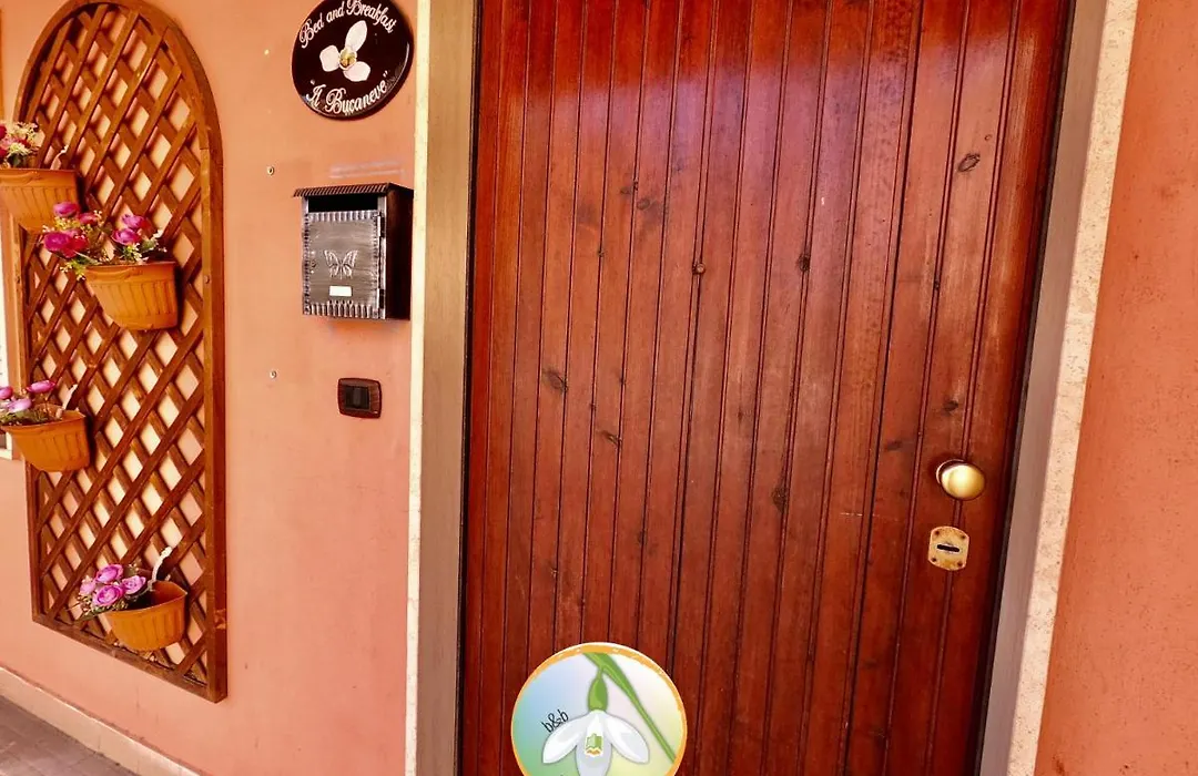 B&B Il Bucaneve-1