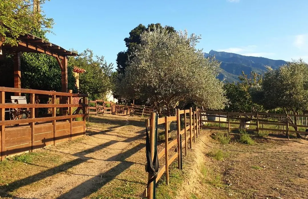 Chambre d'hôtes le petit Ranch-1