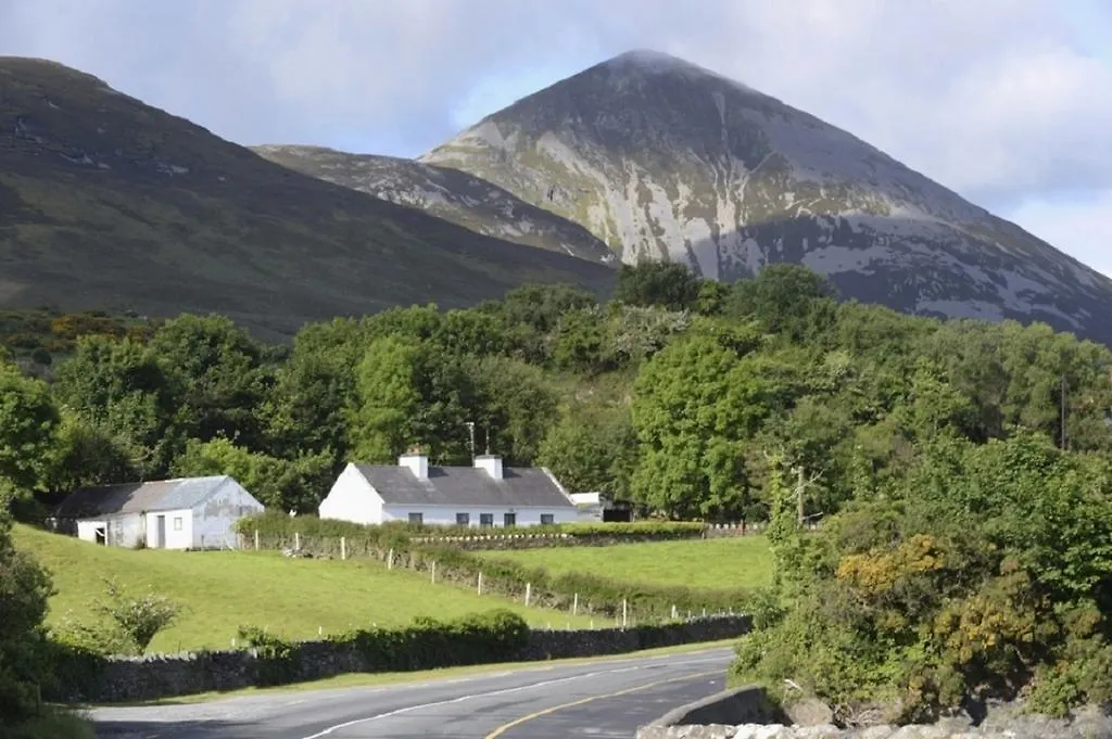 Mulberry Lodge B&B-1