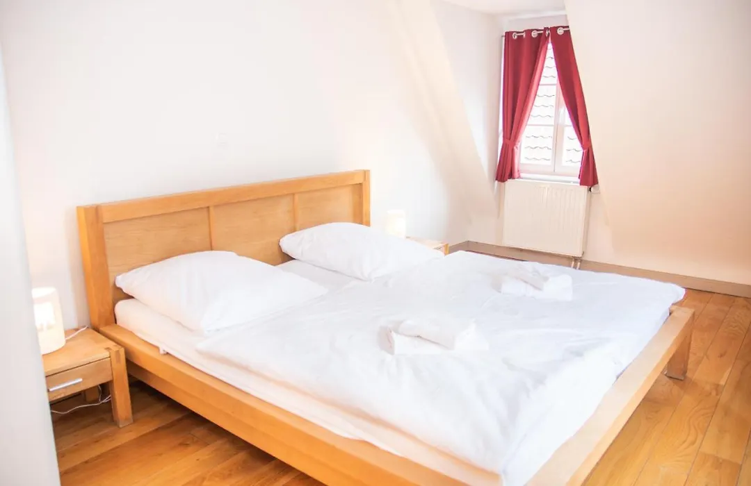 Alte Windmühle - Hotel Garni-1