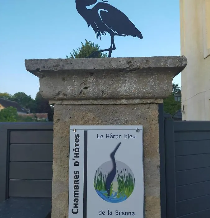 Le Héron bleu de la Brenne-1