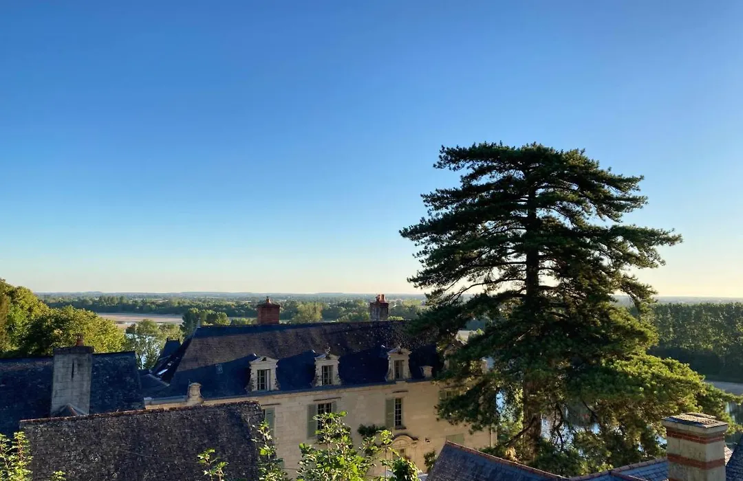 Chateau de la Boussiniere-1