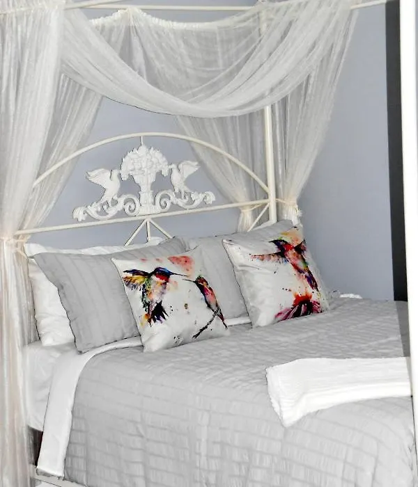 Seabank House Bed And Breakfast Hummingbird-1