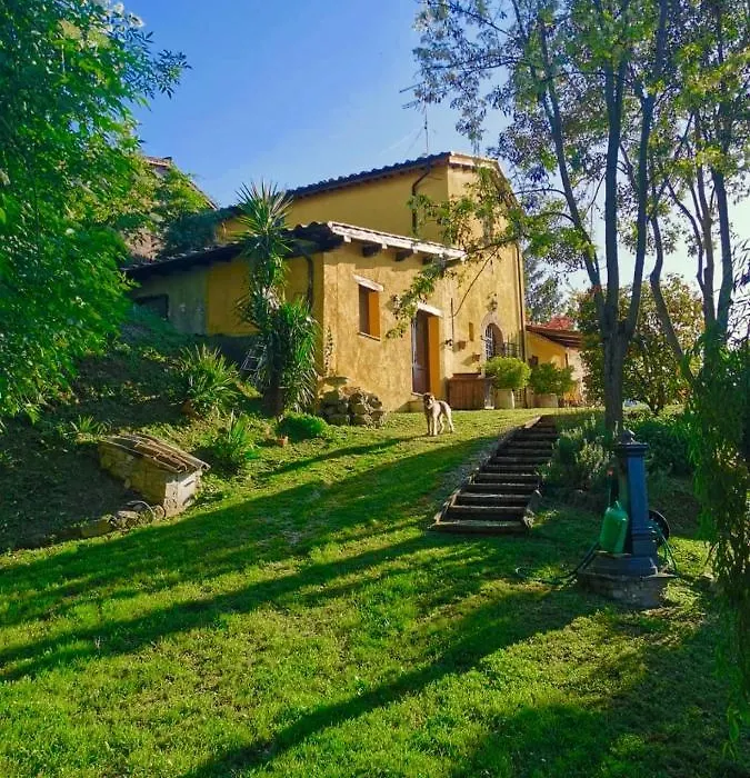 Casale Druida-1