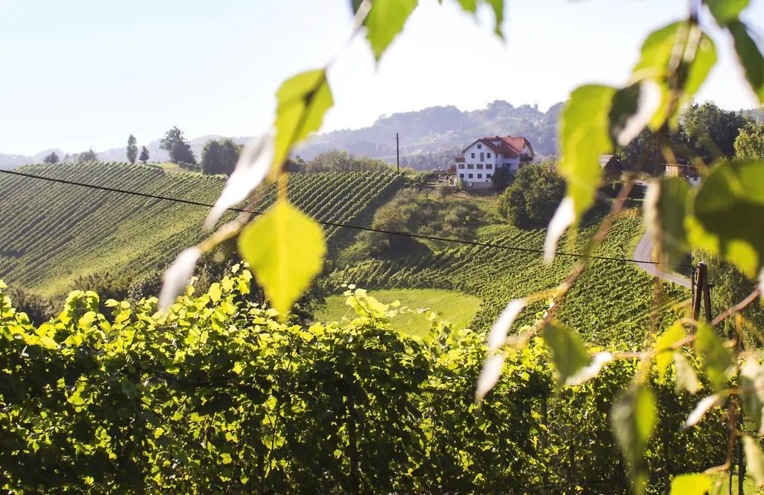 Weingut Peter Grill-1
