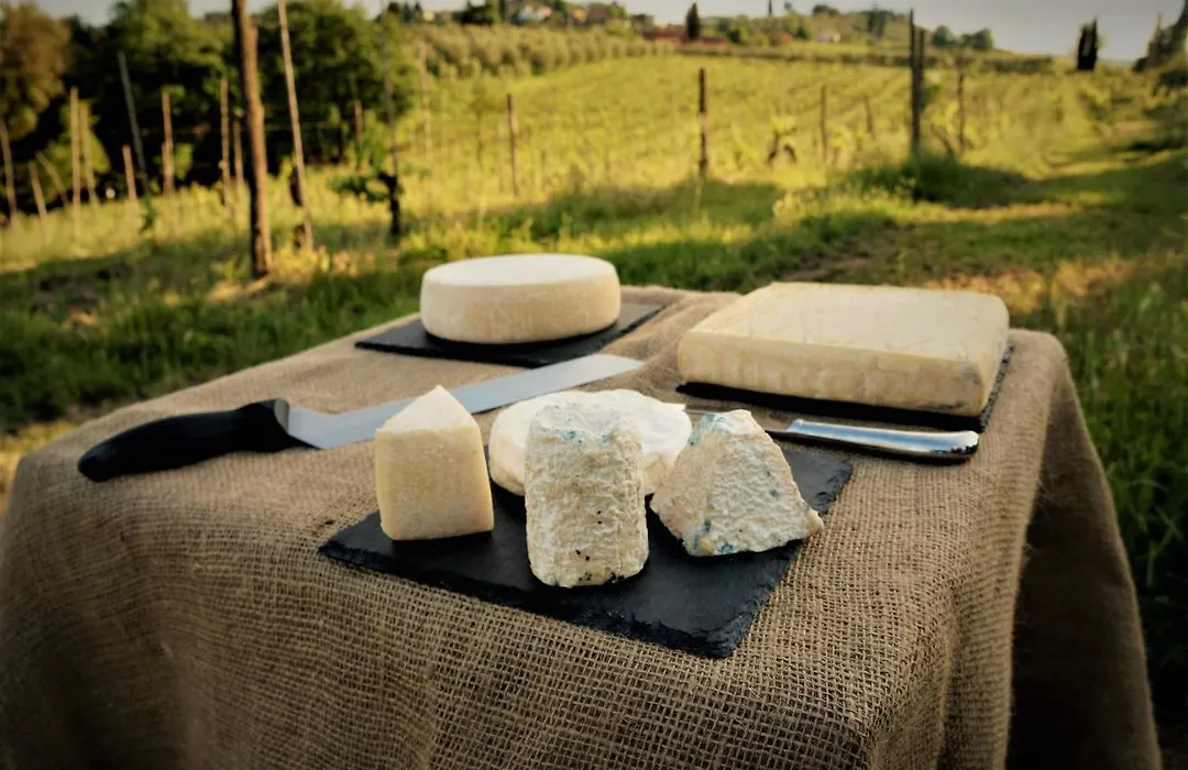 Agriturismo Fattoria le caprine-1