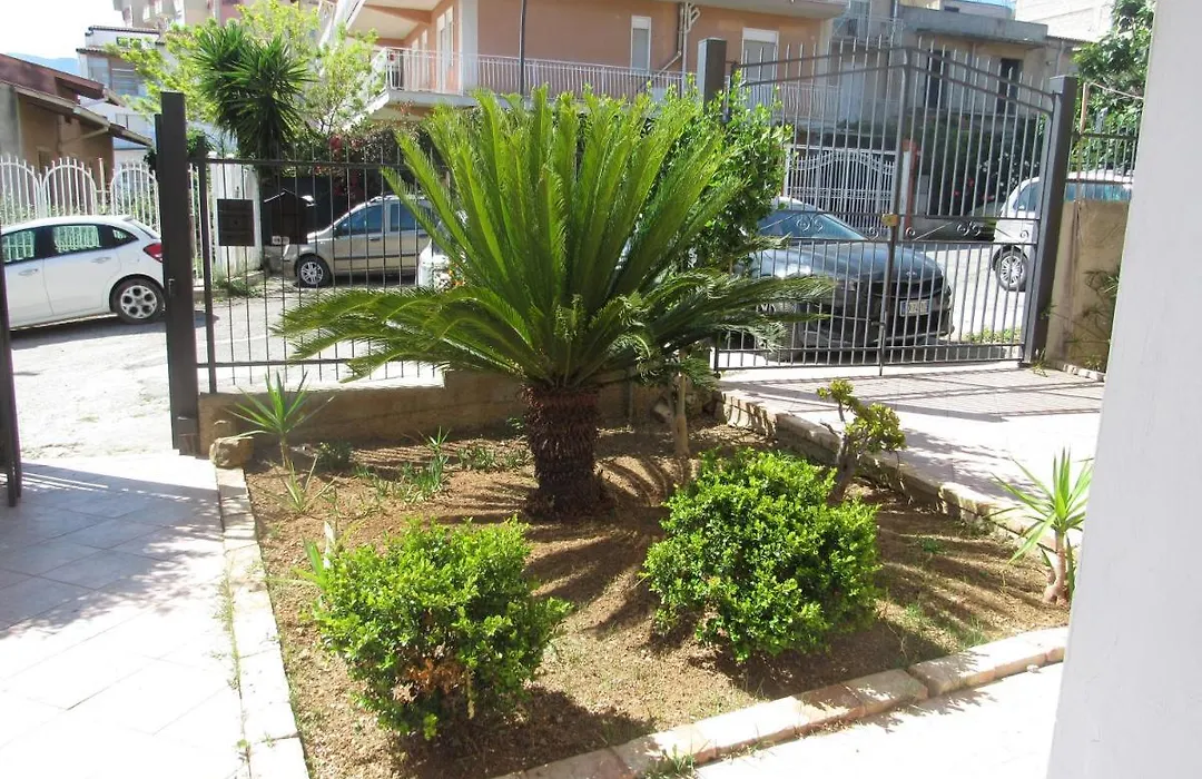 La Cycas-1