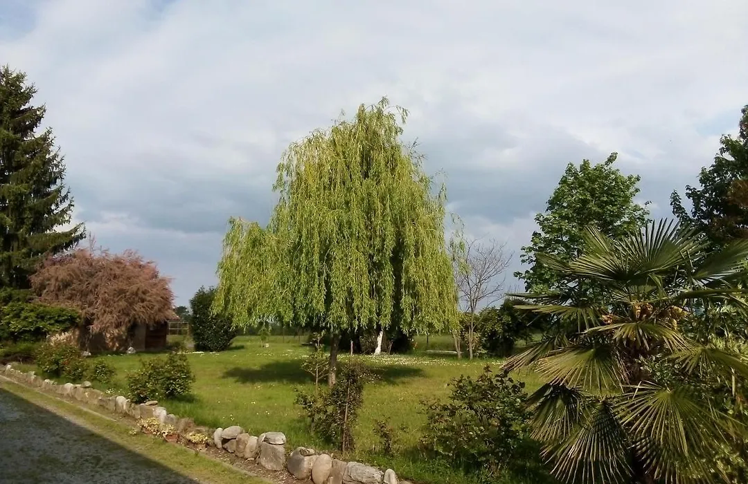 B&B Cascina dell'eco-1