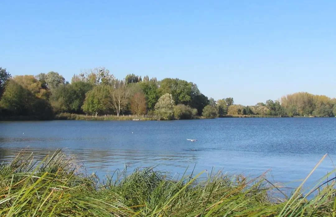 Au Bord De L'Eau-1