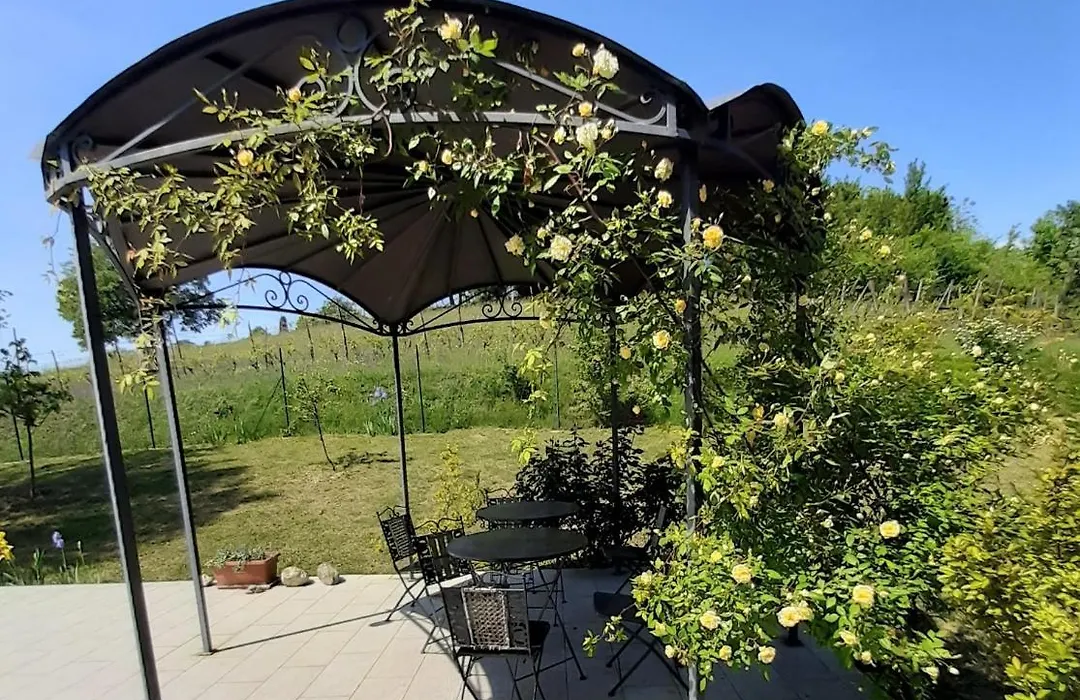 Rosatea B&B-1