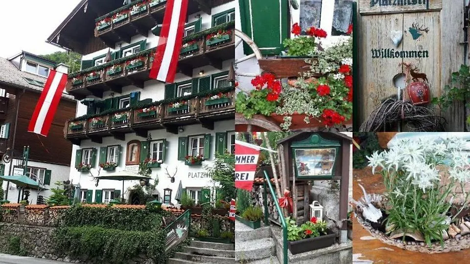 Platzhirsch zur alten Wagnerei Gästehaus-1