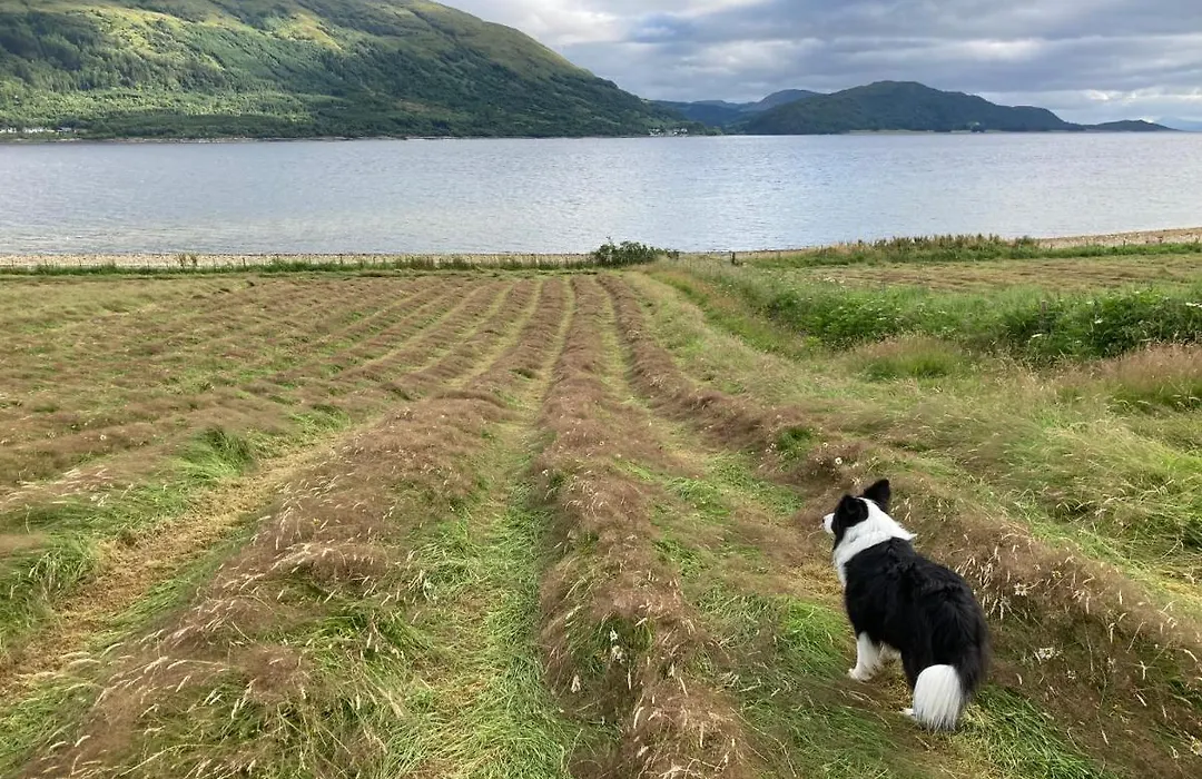 Highland Croft B&B-1