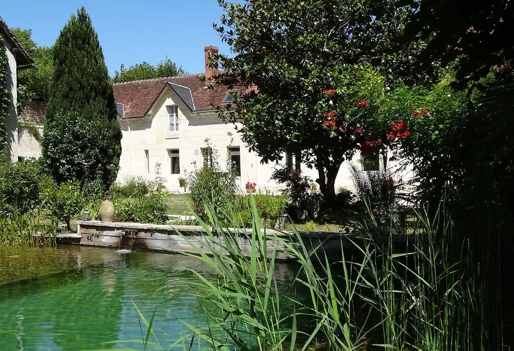 Jardin De Canaan-1
