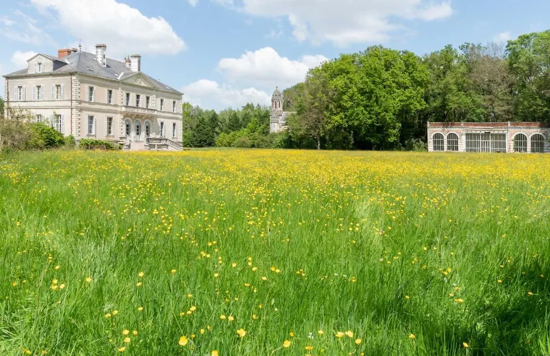 Chateau du Hallay-1
