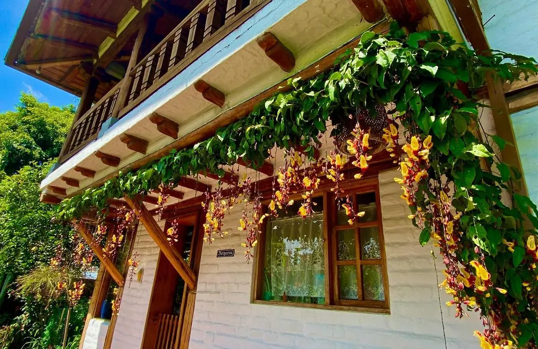 Casa Magnolia-1