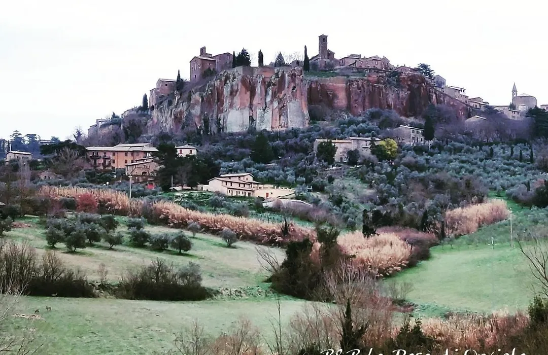 La Rosa di Orvieto-1