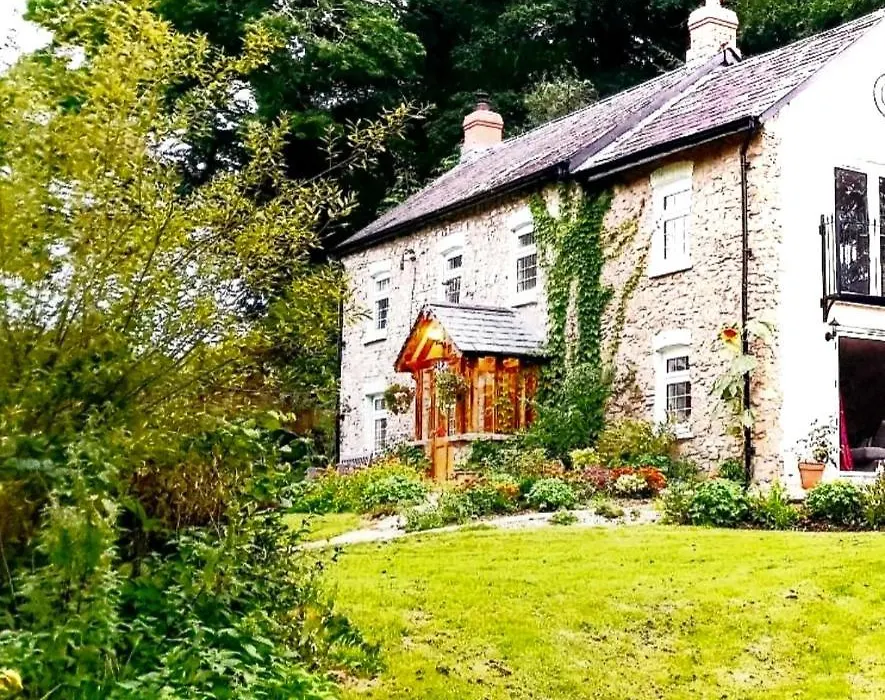 Kingsley Cottage Bed & Breakfast-1