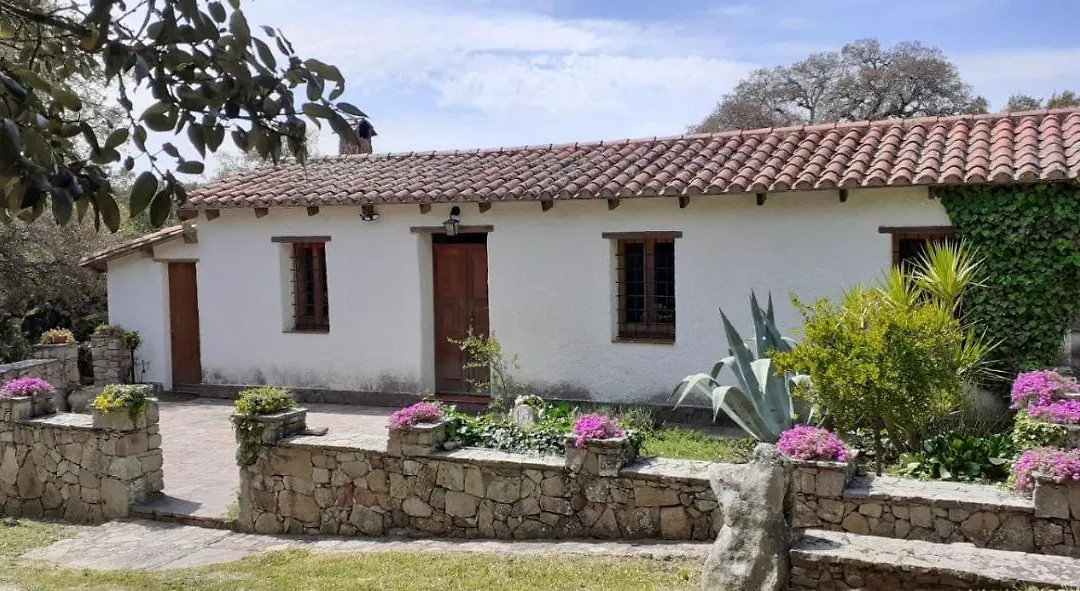 B&B I Menhir-1