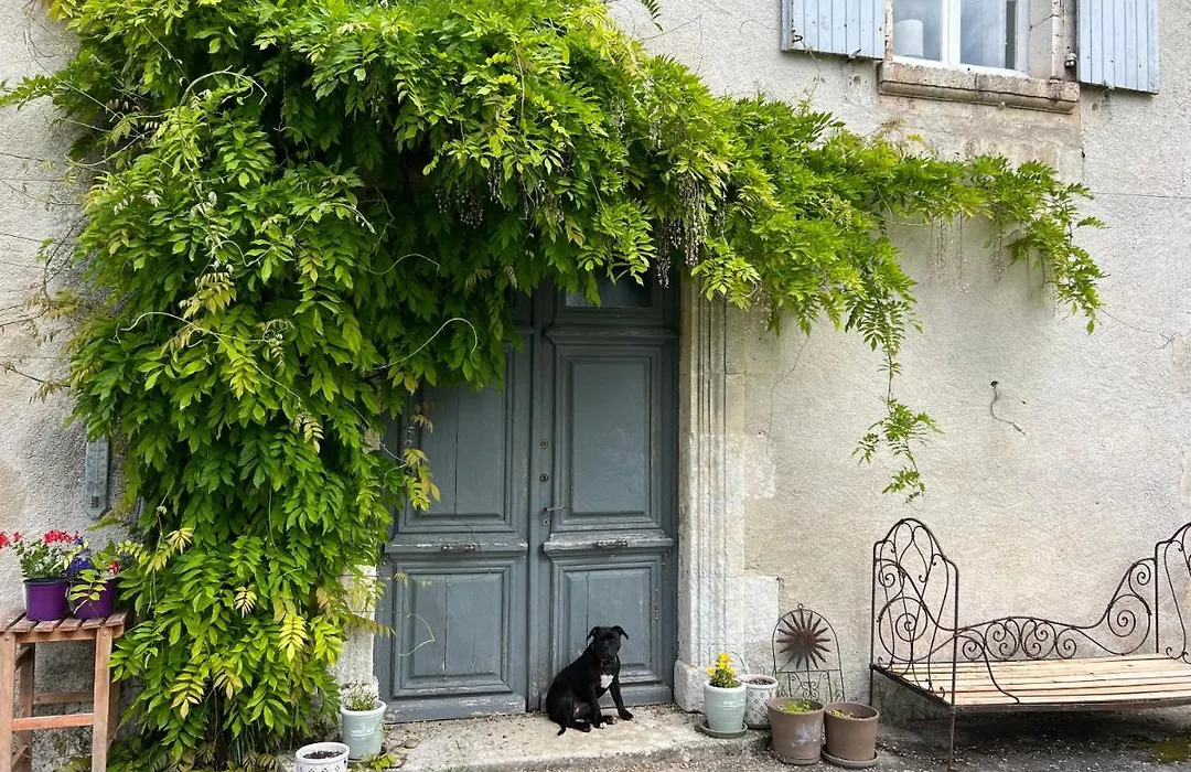 Le Loriot-1