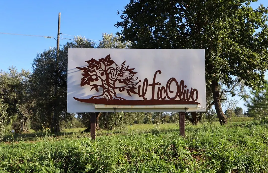 FicOlivo-1