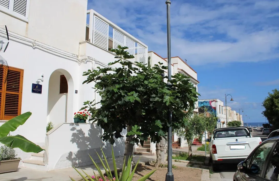 B&B Marco Polo-1
