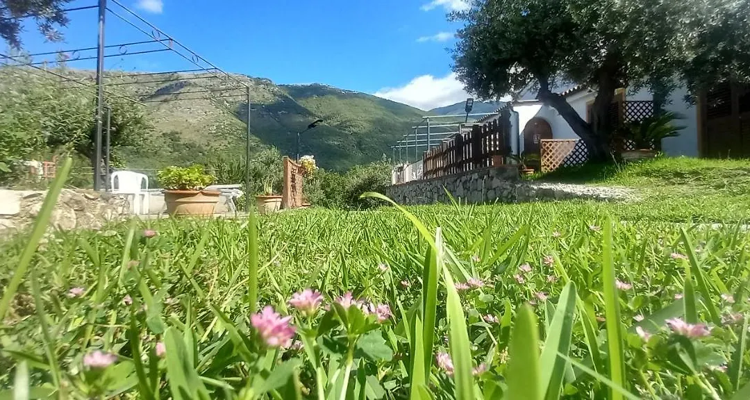B&B Da Maria Teresa - Maratea-1