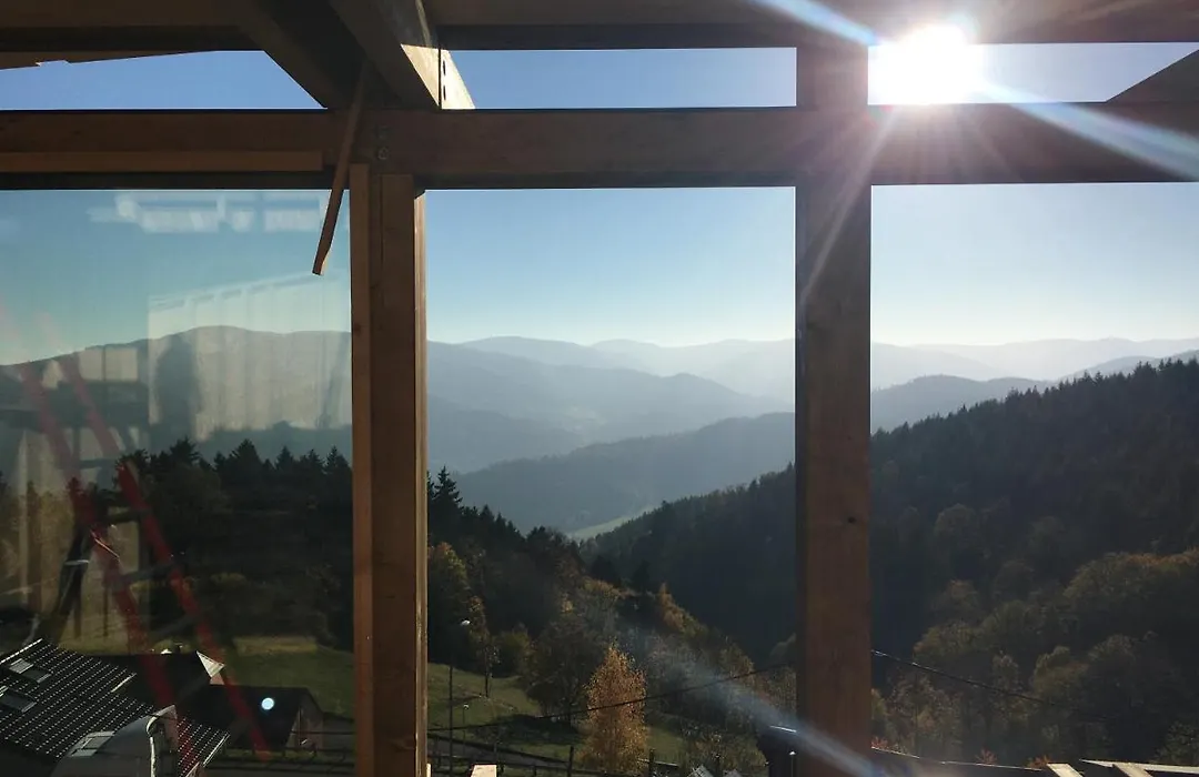 Chalet La Petite Ourse-1