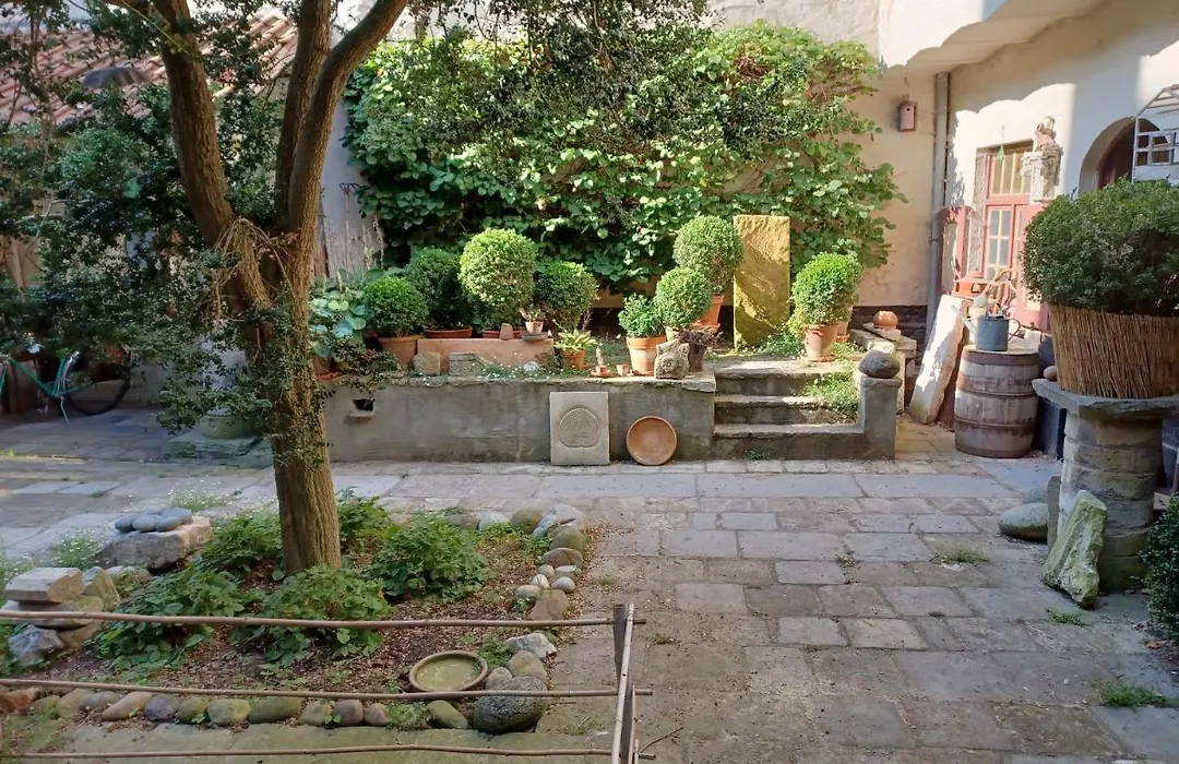 De Zomere B&B-1
