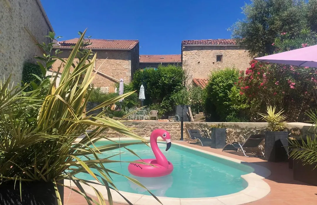 Les Yuccas-1