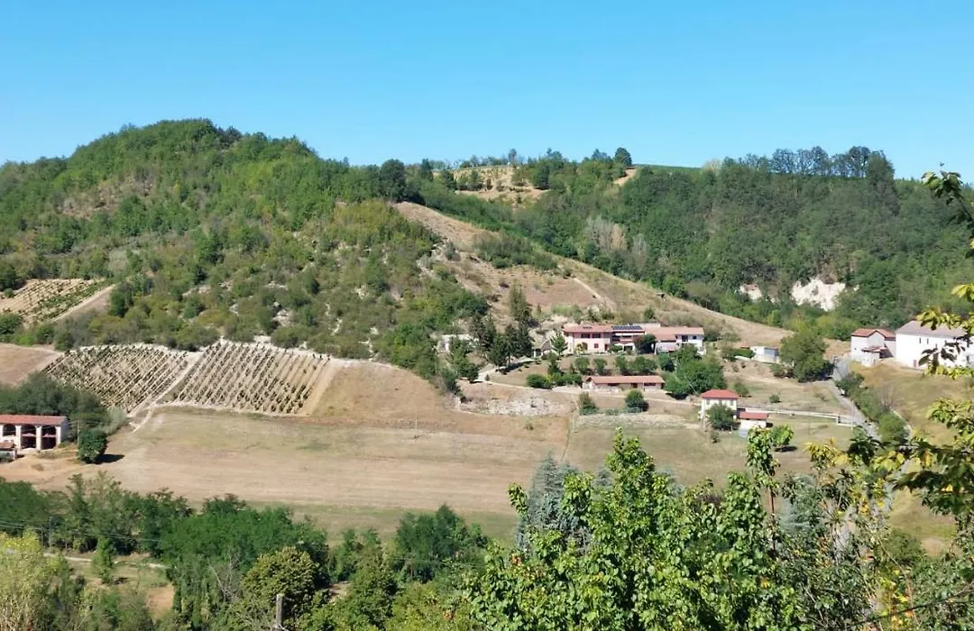 La Contea-1