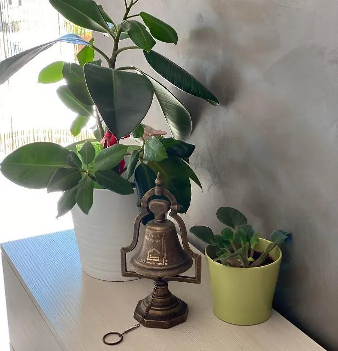 B&B Tirassegno-1