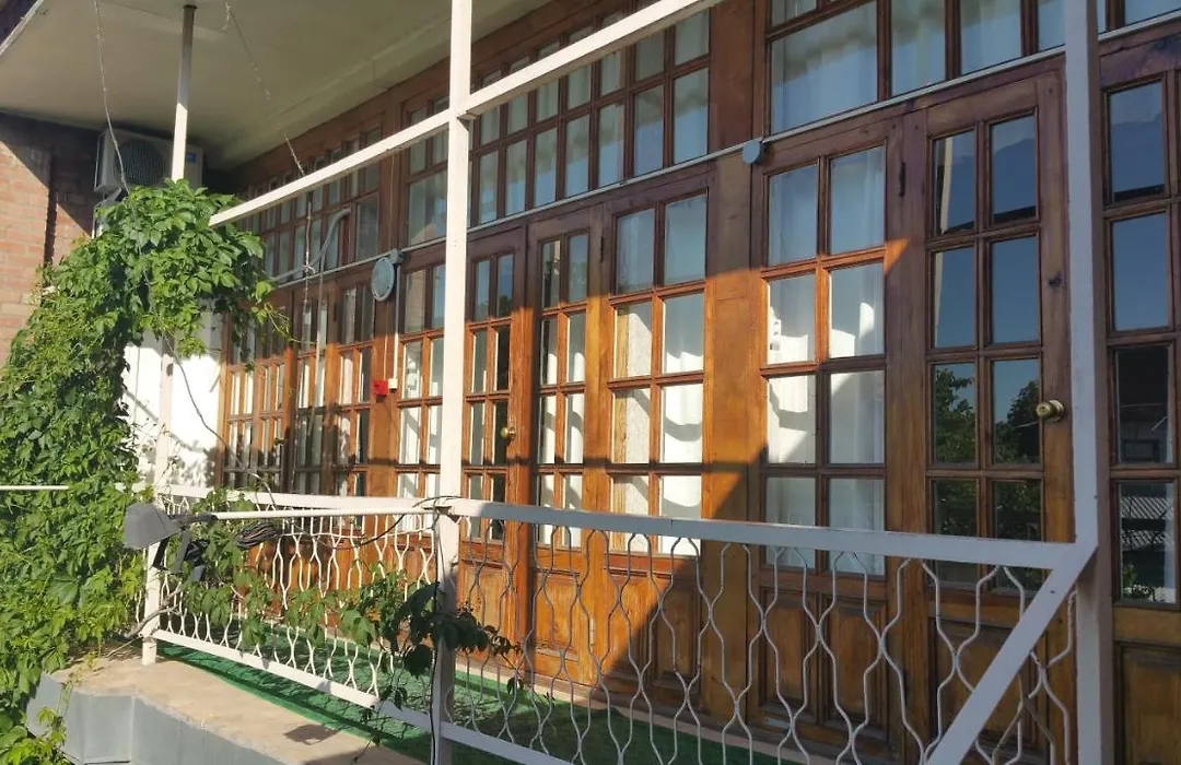 Gulnara Guesthouse - Hostel-1
