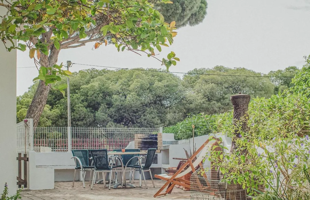 Pine House - Faro Airport, Beach And City Center-1