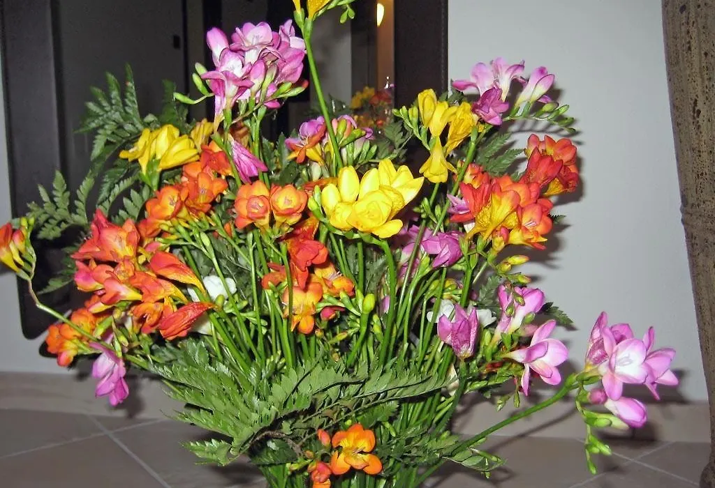B&B Le Fresie-1