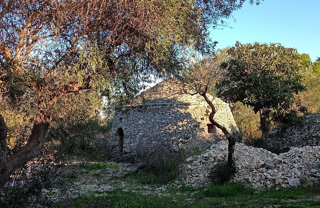 B&B Verdeoliva-1