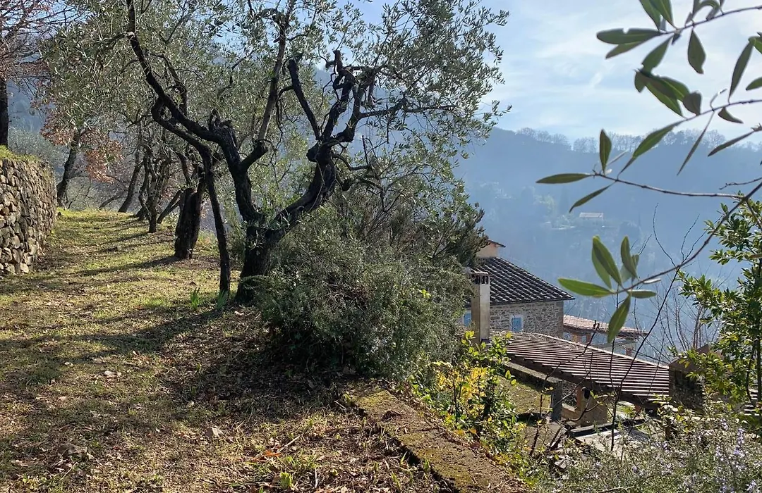Podere Le Vedute-1