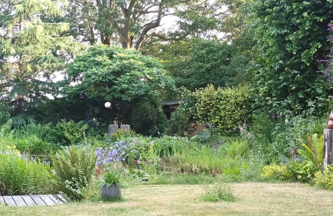 B&B Houtstee-1