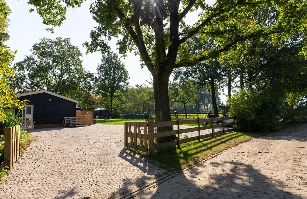 Logies-Spier-1