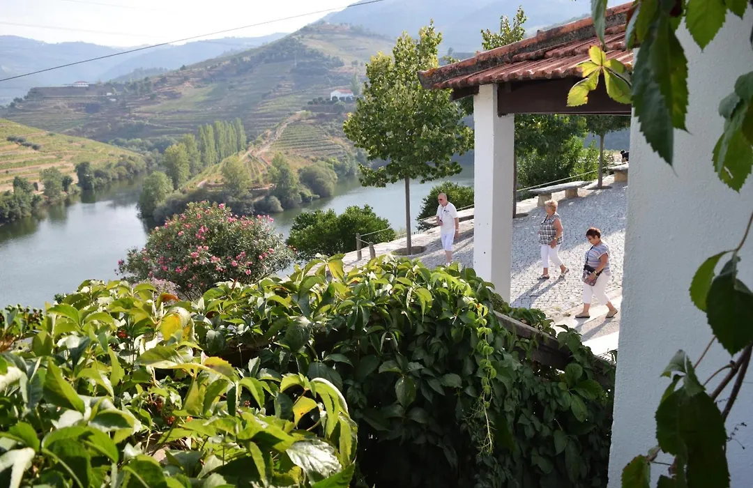 Quinta Do Tedo-1