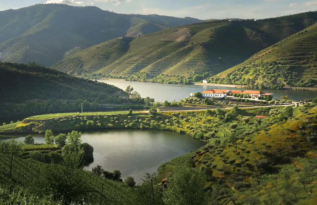 Quinta Do Tedo-1