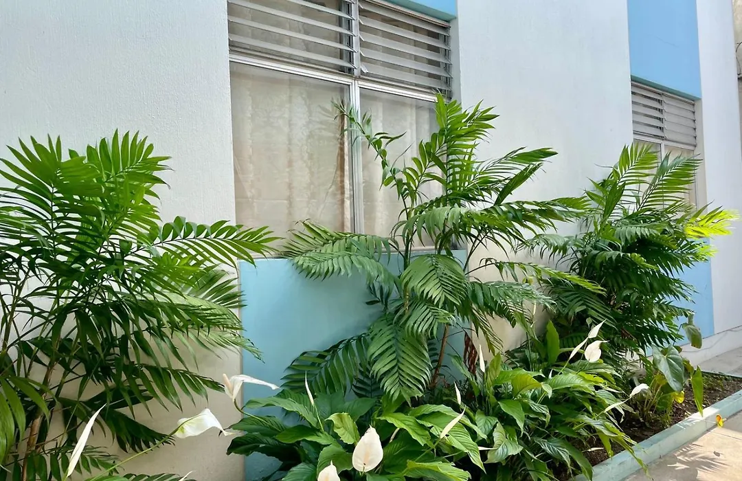 Casa Quetzal-1