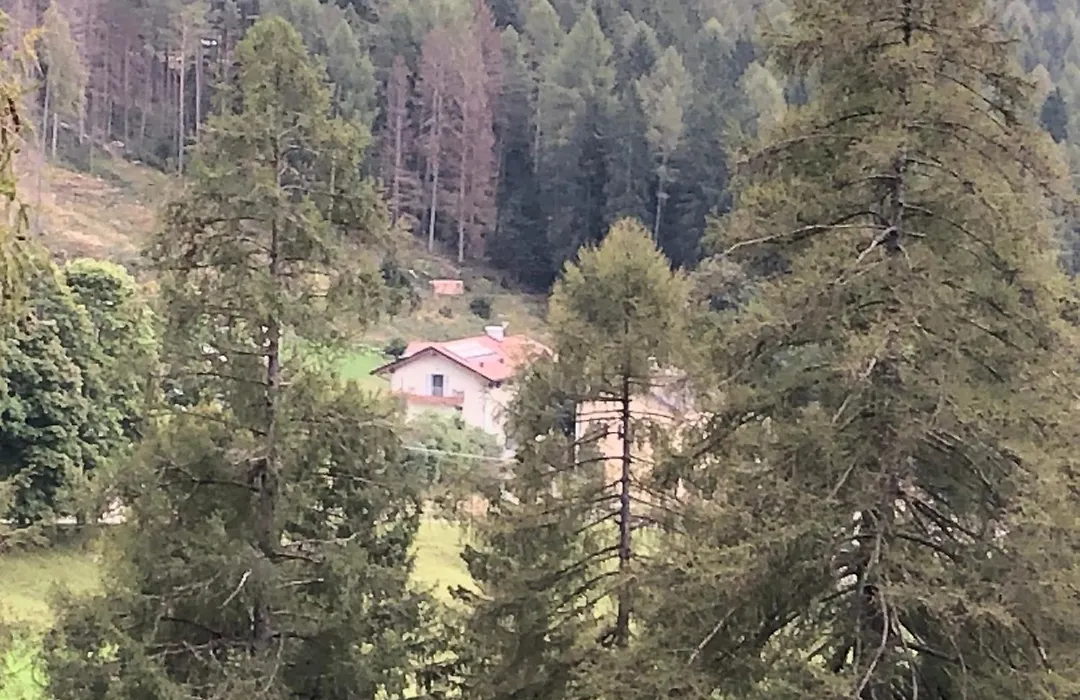B&B Le Stagioni di Stava-1