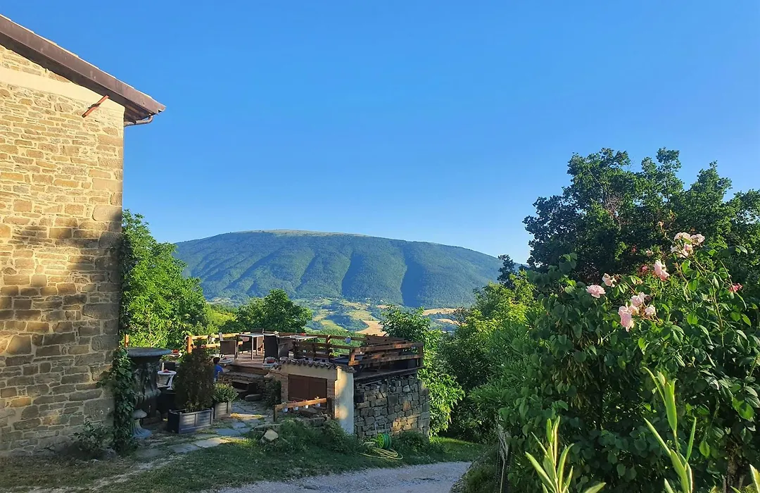 Le Ginestre Guesthouse Assisi-1